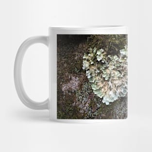 Heart shaped Lichen Mug